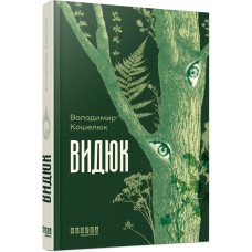 Видюк. Володимир Кошелюк