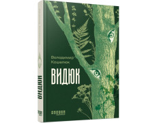 Видюк. Володимир Кошелюк