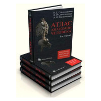 Атлас анатомии человека. Синельников в 4-х т.т. Р. Д. Синельников, Я. Р. Синельников, А. Я. Синельников.