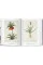 Redout‚. The Book of Flowers. Taschen 40th Edition Series