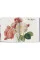 Redout‚. The Book of Flowers. Taschen 40th Edition Series