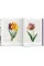 Redout‚. The Book of Flowers. Taschen 40th Edition Series