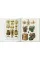 Seba. Cabinet of Natural Curiosities. Taschen 40th Edition Series