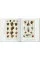Seba. Cabinet of Natural Curiosities. Taschen 40th Edition Series